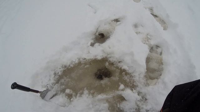 Ловля окуня на мормышку .Декабрь .ОТКРЫТИЕ ЗИМНЕГО СЕЗОНА 2021 - 2022 . смотреть онлайн