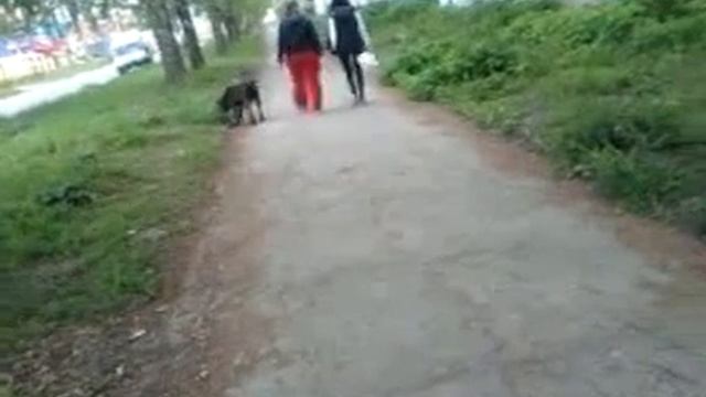 Она не кусается? смотреть онлайн