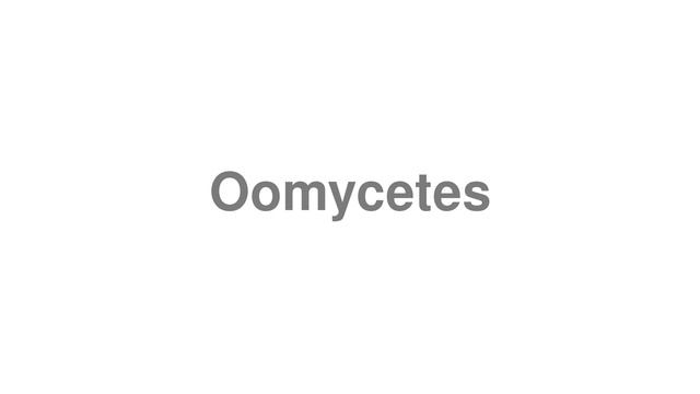 How to Pronounce "Oomycetes" смотреть онлайн