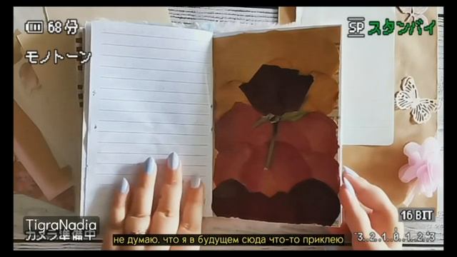 ОБЗОР ЛИЧНОГО ДНЕВНИКА ЯНВАРЬ-МАЙ 2022 смотреть онлайн
