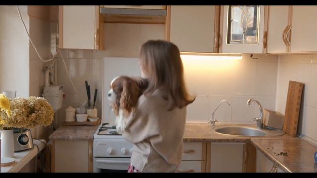 THESE ARE THE 10 BEST INDOOR DOGS | Results Might Surprise You! смотреть онлайн