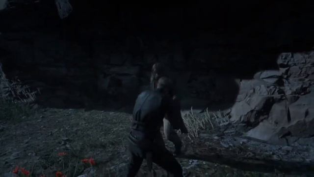 Red Dead Redemption 2 Xd