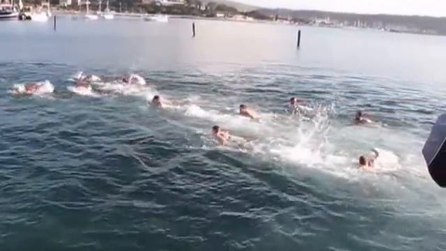Novoletni skok v morje 2014, 2. del смотреть онлайн