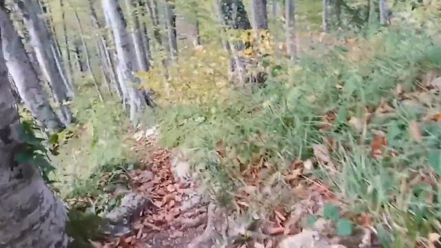 прогулка в горах Сочи за Ореховкой смотреть онлайн