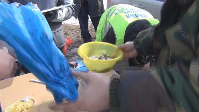 Соревнования по зимней мормышке в Новосибирске с.Криводановка. 22 марта 2014. смотреть онлайн