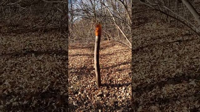солонец и кормушка для зайца смотреть онлайн