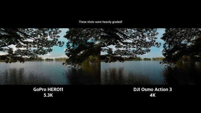 DJI Osmo Action 3: 10-Bit Color Test & Comparison смотреть онлайн