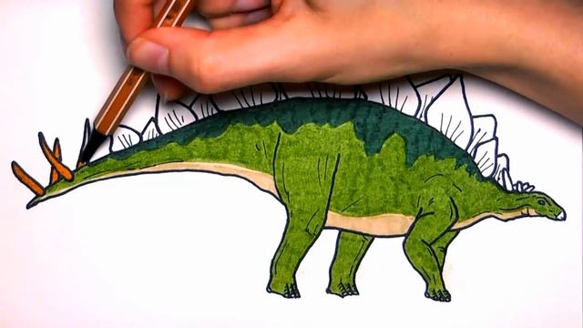 Drawing And Coloring Stegosaur - How to Draw Dinosaurs Color page For Children смотреть онлайн