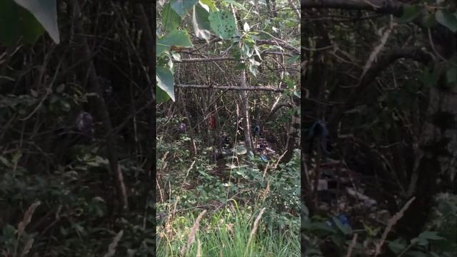 нашли шалаш в лесу смотреть онлайн