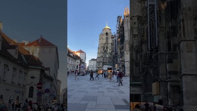 Beautiful #stephansdom #austria #vienna #shorts #tour смотреть онлайн