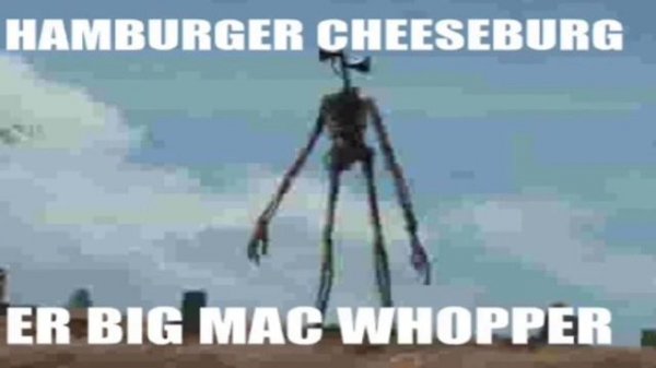 hamburger cheeseburger big mac whopper