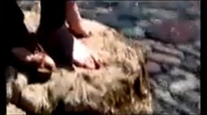 Рустами сарбанди