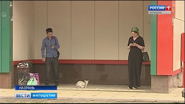 У жителей Ингушетии двойной праздник – Ид аль Адха и начало нового учебного года смотреть онлайн