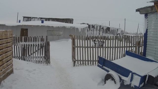 Наш граф научился сбегать с вольера. смотреть онлайн