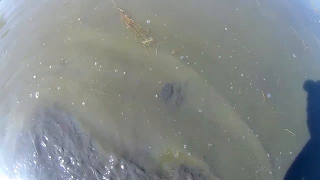 ловля карася руками смотреть онлайн