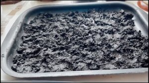 Почему не всходят семена помидор ? Что делать ?