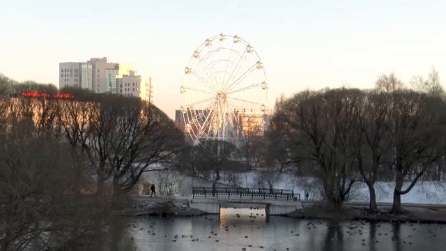 Столичный дендролог обследует парк имени Кирова смотреть онлайн