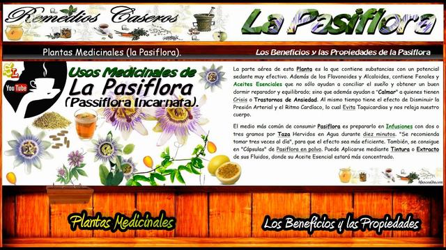 Beneficios de la Pasiflora, Remedio Casero para Dormir, la Ansiedad el Nerviosismo y el Insomnio смотреть онлайн