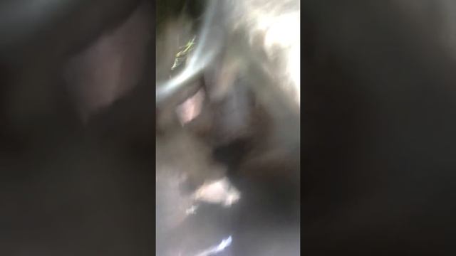 Замена левой ступицы ваз 2106 смотреть онлайн