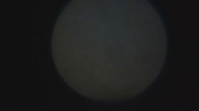 Полный цикл заточки бритвы на примере СТИЗ Особая 71 смотреть онлайн