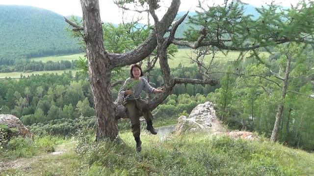 Василистник. 31 смотреть онлайн