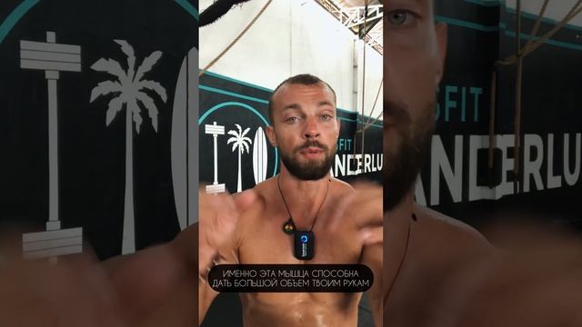 Как накачать БОЛЬШИЕ руки?