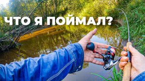 Поймал на форелевой речке. Ловля форели. Рыбалка в Ленинградской области.