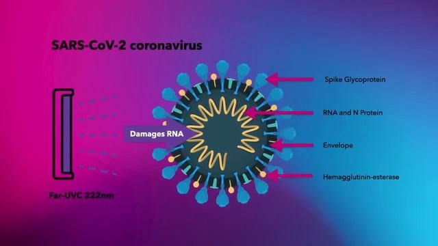Far-UVC 222nm: The disinfection technology we need now and for the future смотреть онлайн