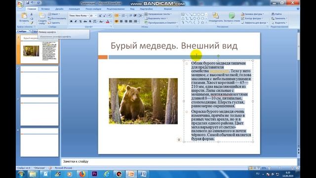 Информатика ОГЭ 2020. Решение задания 13.1 ОГЭ по информатике 2020 смотреть онлайн