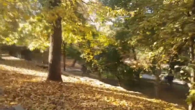 Ростов на Дону . Гуляю по городу #43 смотреть онлайн