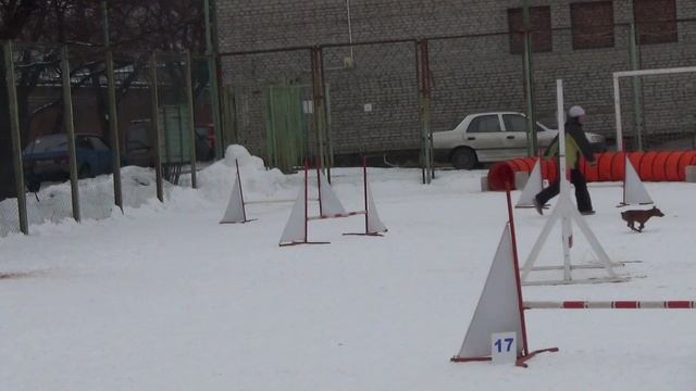 Д-2 Small - Семиволос Наталия и цвергпинчер Рауф смотреть онлайн