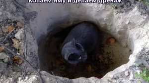 Как сделать бюджетный летний душ на даче