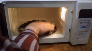 Как пожарить семечки в микроволновке