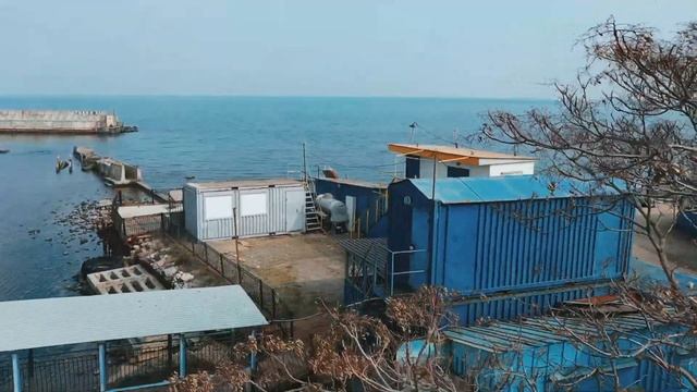 Яхт-клуб Черноморск. Что сегодня творится на территории яхтклуба...