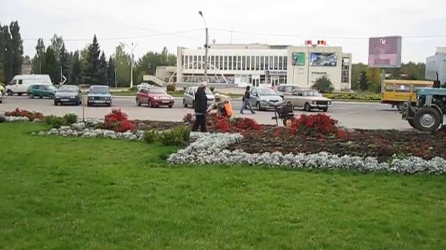 В Железногорске посадили тюльпаны смотреть онлайн