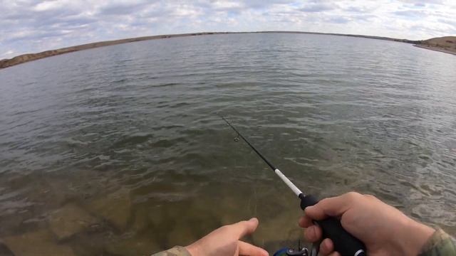 Жор окуня. Отводной поводок работает безотказно. смотреть онлайн