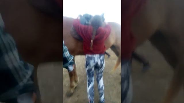 Седлаю лошадку ) на даче смотреть онлайн