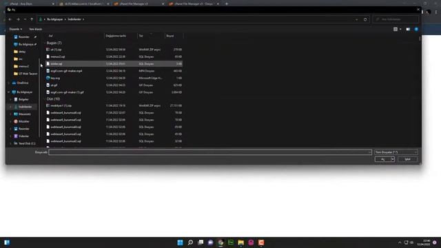 Cpanelden Script Nasıl Kurulur? - UT Web Tasarım смотреть онлайн