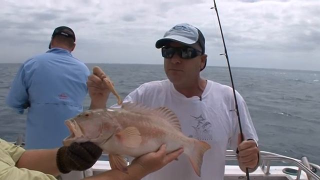 GULP-Gulp In The Gulf