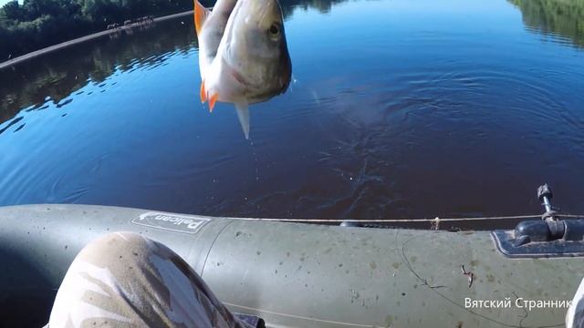 РЫБАЛКА 2022!!!ЕСТЬ ЛИ РЫБАЛКА ДНЕМ????? смотреть онлайн