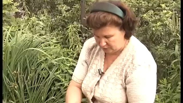 Советы опытного цветовода. Выкопка тюльпанов для выгонки и посадки осенью смотреть онлайн