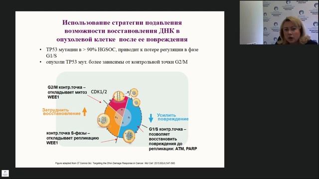 Рак яичников 13.07.17 смотреть онлайн