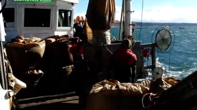 Ферми мідій смотреть онлайн