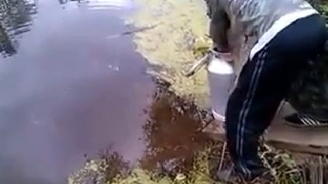 Первое зарыбление пруда смотреть онлайн