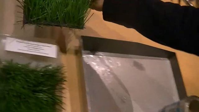 Испытания клея для искусственной травы смотреть онлайн