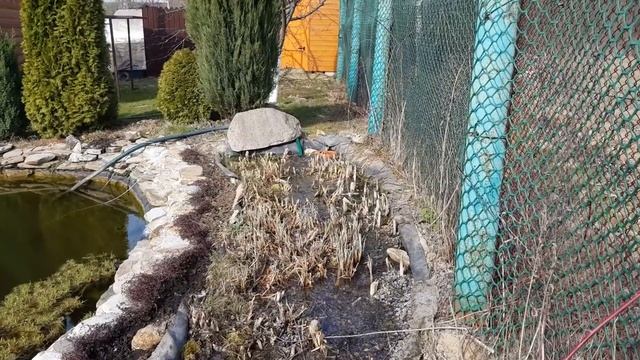 Дачный пруд ранней весной смотреть онлайн