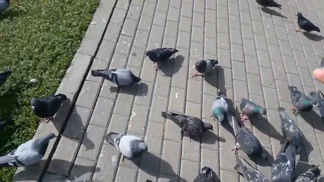 Успенский Собор. Город Владимир смотреть онлайн