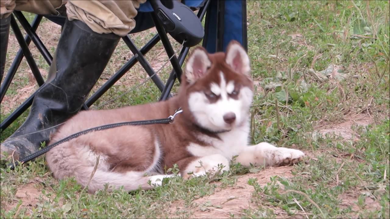 Часть 1. Гремячий ключ