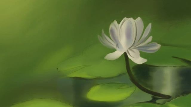 Flower. Procreate + wacom intuos creative stylus. смотреть онлайн