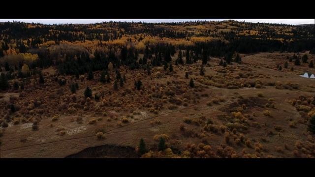 Fall Colours смотреть онлайн